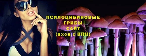 СК Арсеньев