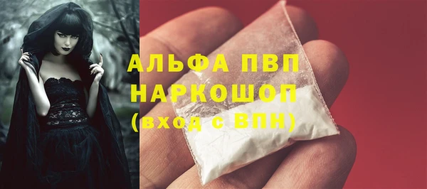 СК Арсеньев