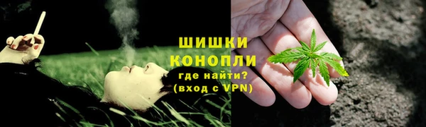 крисы Аркадак