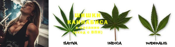 винт Армянск